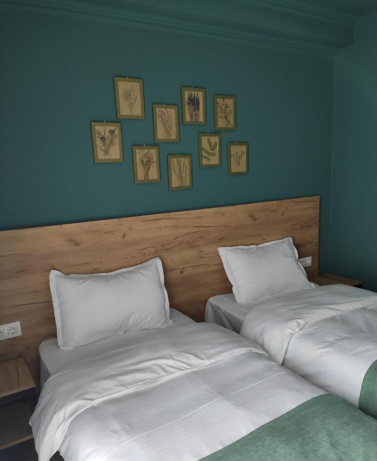 Northgate Hotel Kazbegi Екстер'єр фото